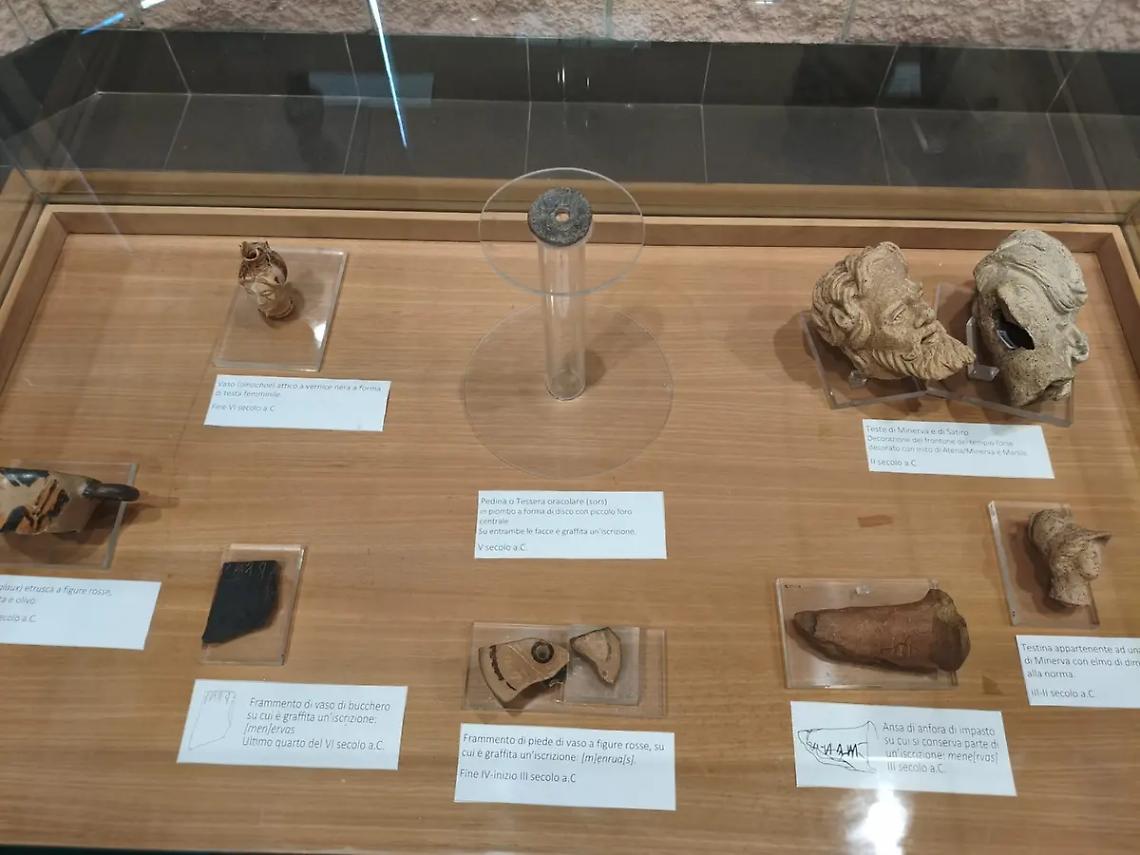 Aquae Tauri e Punta della Vipera: un percorso fra ricerca, formazione e musealizzazione