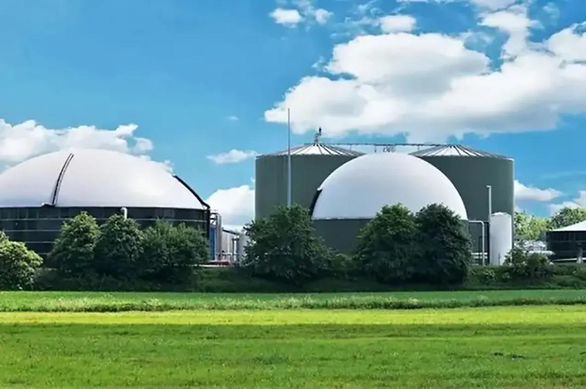 La coerenza biodigerita