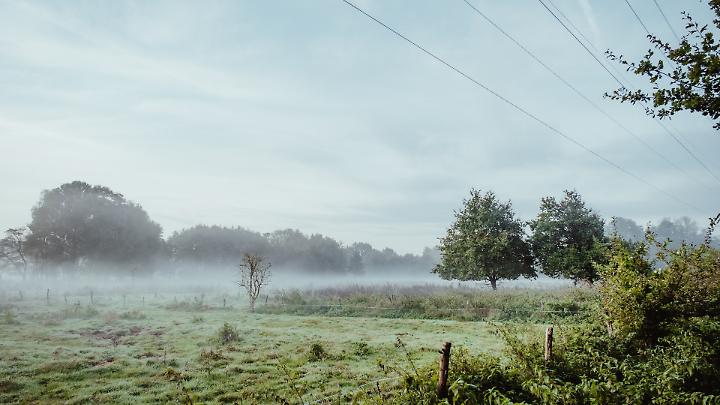 Test Semaforo Giallo