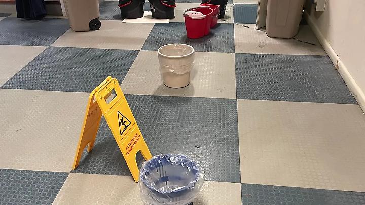 Liceo Guglielmotti, pensieri di un&rsquo;ex studentessa